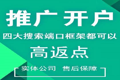 SEM代运营托管公司案例深度解读